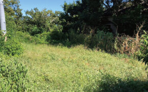 嘉島町　下六嘉